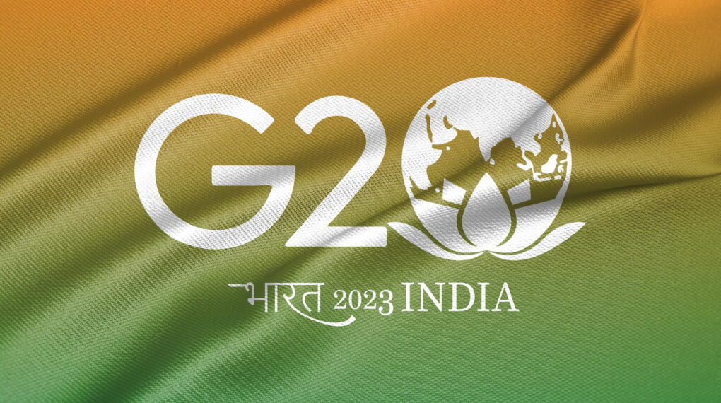 flag-g20-india-flags-members-g20