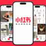 Xiaohongsu, Tiktok replacer